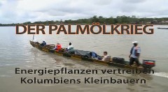 Der Palmölkrieg