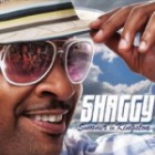 Shaggy - Summer In Kingston (Retail)