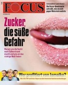 Focus Magazin 44/2017