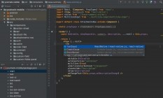 JetBrains Web Storm 1.4 2018