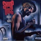 Snoop Dogg - Fo Shizzle Ma Nizzle (Bootleg)