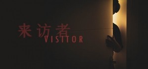 Visitor