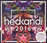 Hed Kandi - Tropical Nights