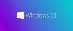 Windows 11 Pro Insider Preview 10.0.22000.100 (x64)