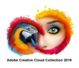 Adobe Creative Cloud Collection Januar 2019