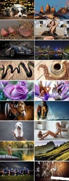 Must Have Best Wallpapers 408