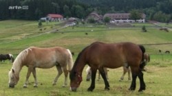 360 Grad Geo Reportage Gnadenhof Gut Aiderbichl