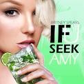 Britney Spears - If You Seek Amy (Remixes)