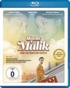 Mister Malik und die Reise ins Glück