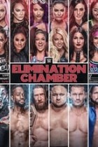 WWE Elimination Chamber 2019