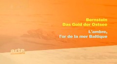 Das Gold der Ostsee - Bernstein