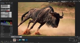 ACDSee Photo Studio Ultimate v10.4.912