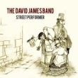 The David James Band - Street Performer