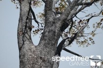 SpeedTree Games Indie v8.4.1