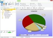 JAM Software TreeSize Professional 6.0.3.953 (x86)