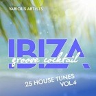 Ibiza Groove Cocktail (25 House Tunes) Vol.4