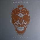 Lucertulas - Anatomyak