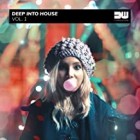 Deep Into House Vol.1