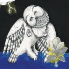 Songs - Ohia-The Magnolia Electric Co - 10th Anniversary Deluxe Edition