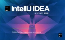 JetBrains IntelliJ Idea Ultimate 2018.1.5