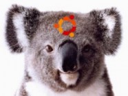 Ubuntu 9.10 Karmic Koala i386 / amd64 Alpha 6