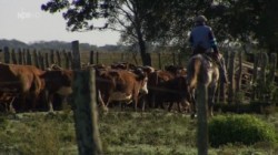 Laender Menschen Abenteuer Argentinien Im Land der Gauchos