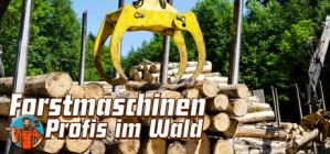 FORSTMASCHINEN: Profis im Wald