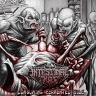 Intestinal Rot - Consuming Fermented Bile