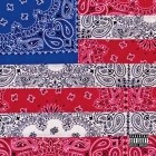 Joey Badass - All-Amerikkkan Badass