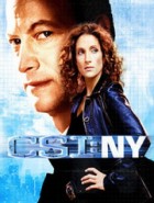 C.S.I. - New York - XviD - Staffel 5 (HQ)