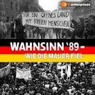 Wahnsinn ´89 - Wie die Mauer fiel