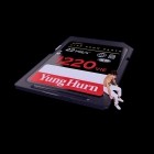 Yung Hurn - 1220