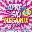 Apres Ski Megamix 2010