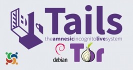Tails 4.1 (x64)