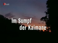 Im Sumpf der Kaimane