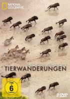 National Geographic: Das große Wunder der Tierwanderungen