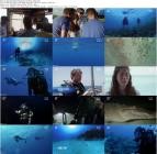 Giant.Sharks.-.Hai.Expedition.vor.Kuba.GERMAN.DOKU.WS.HDTVRip.x264-Pumuck