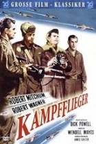 Kampfflieger