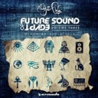 Future Sound Of Egypt Vol.3 (Mixed By Aly And Fila)