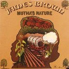 James Brown - Muthas Nature (Remastered)