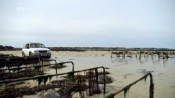 MareTV Jersey Sonneninsel im Aermelkanal