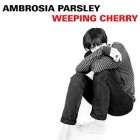 Ambrosia Parsley - Weeping Cherry