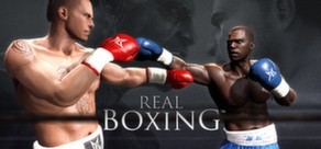 Real Boxing