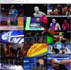 WWE Smackdown 2016-12-06