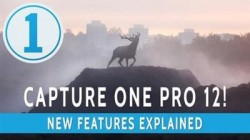 Capture One Pro v12.0.3.22