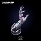 VA - Va Polygonized Hard Techno Series