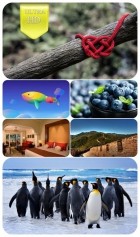 Ultra HD Wallpaper Pack 381