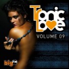 bigFM Tronic Love Vol.9