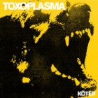 Toxoplasma - Köter