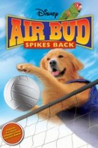 Air Bud 5 - Vier Pfoten schlagen auf